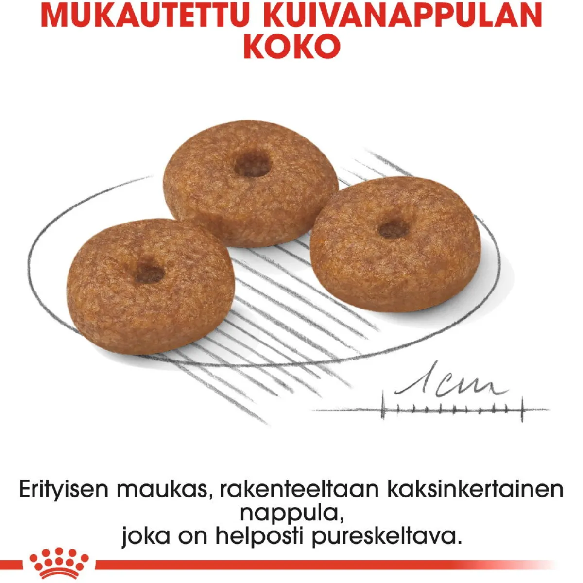 Royal Canin Koiran Kuivaruoka|Senioriruoka*Mini Ageing 12+ 1,5 kg