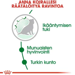 Royal Canin Koiran Kuivaruoka|Senioriruoka*Mini Ageing 12+ 1,5 kg
