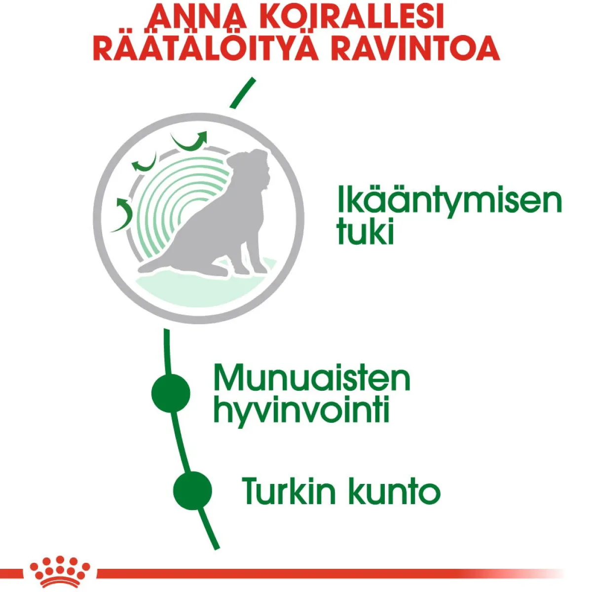 Royal Canin Koiran Kuivaruoka|Senioriruoka*Mini Ageing 12+ 1,5 kg
