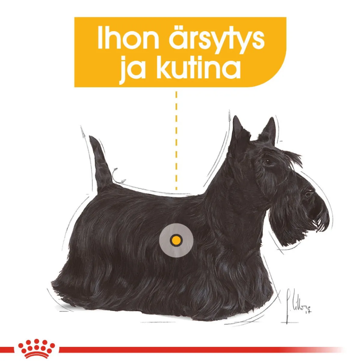 Royal Canin Koiranruoat Erityistapeisiin|Koiran Kuivaruoka*Mini Dermacomfort
