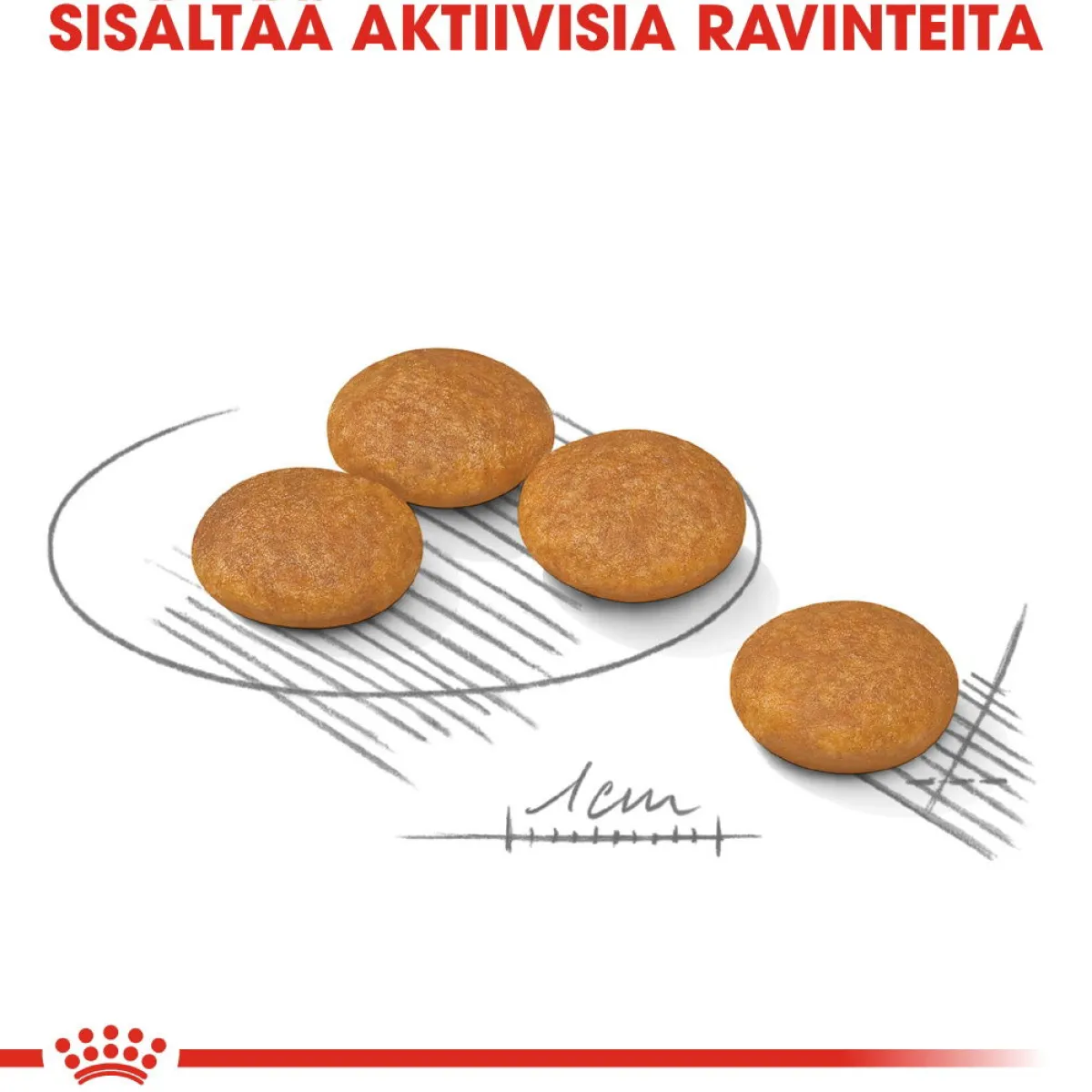 Royal Canin Koiranruoat Erityistapeisiin|Koiran Kuivaruoka*Mini Dermacomfort