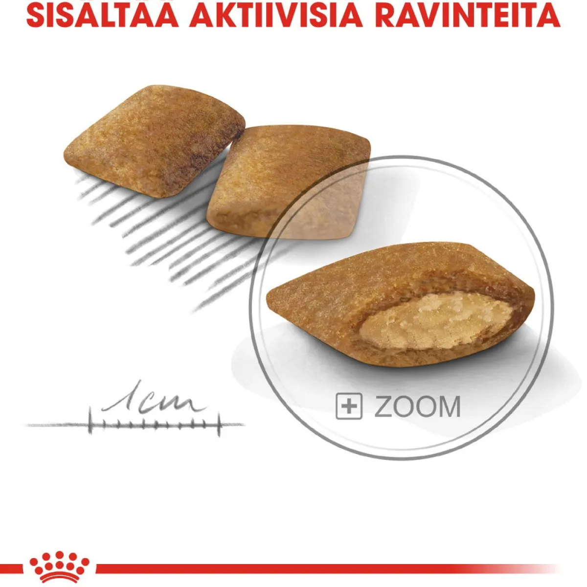 Royal Canin Koiran Kuivaruoka*Mini Exigent