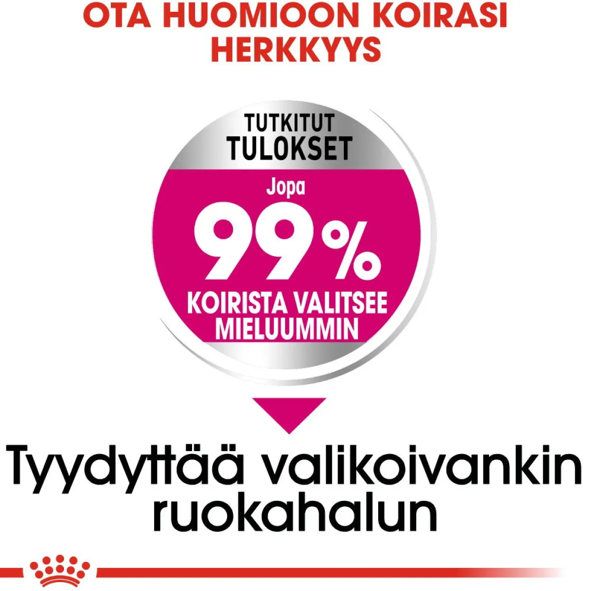 Royal Canin Koiran Kuivaruoka*Mini Exigent