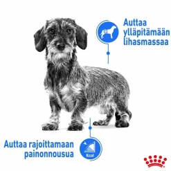 Royal Canin Koiranruoat Erityistapeisiin|Koiran Kuivaruoka*Mini Light Weight Care