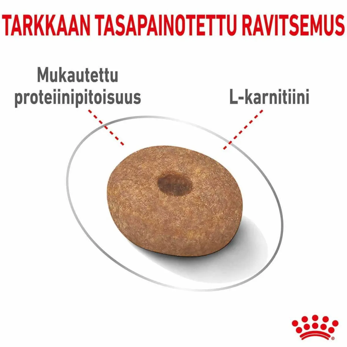 Royal Canin Koiranruoat Erityistapeisiin|Koiran Kuivaruoka*Mini Light Weight Care