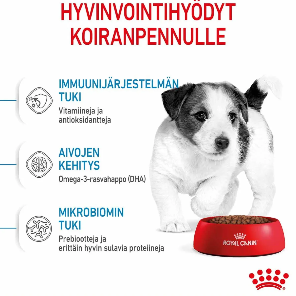 Royal Canin Penturuoka|Koiran Kuivaruoka*Mini Puppy