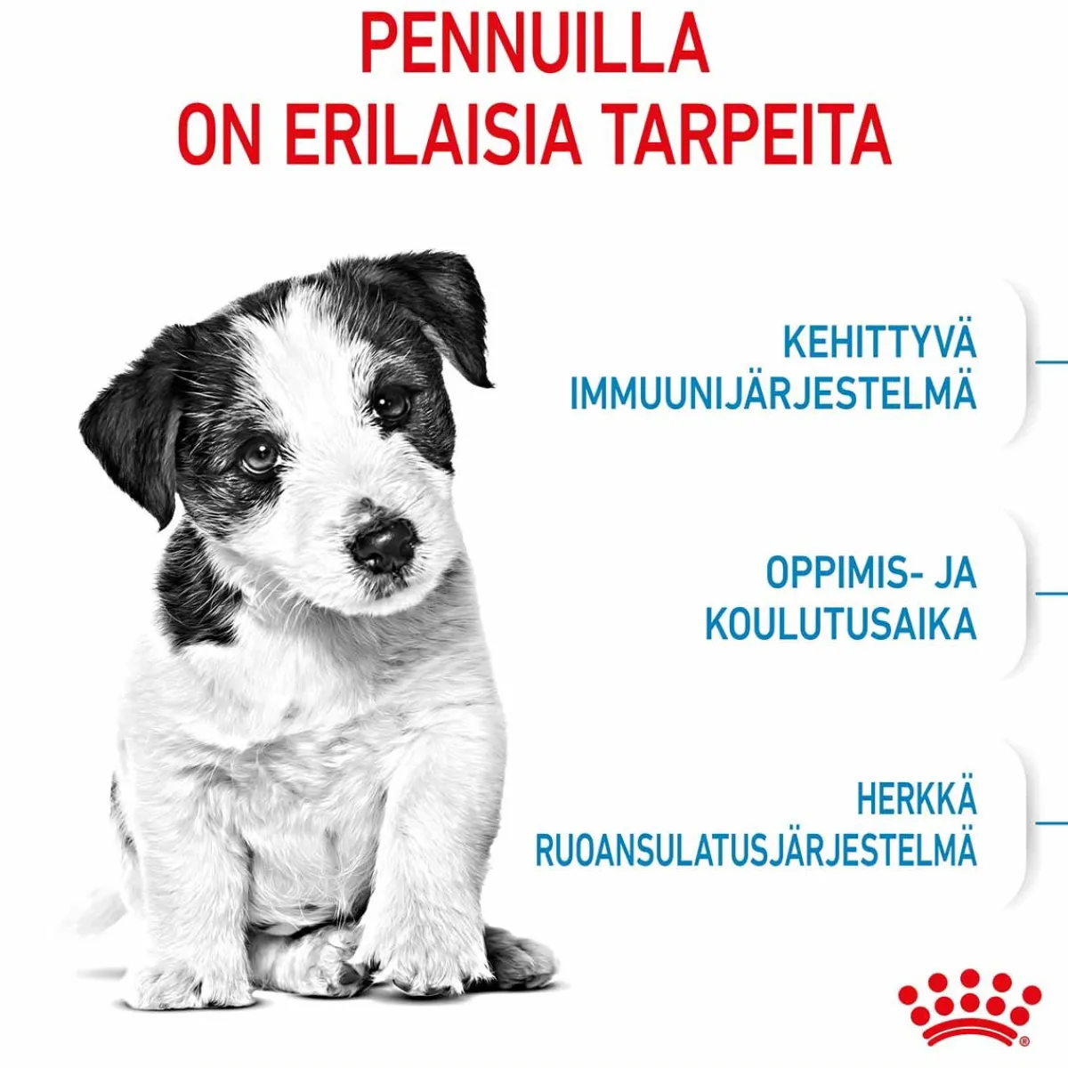Royal Canin Penturuoka|Koiran Kuivaruoka*Mini Puppy