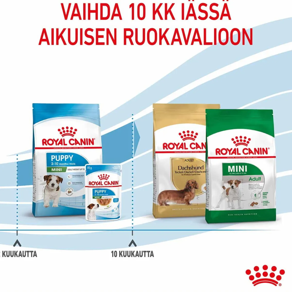 Royal Canin Penturuoka|Koiran Kuivaruoka*Mini Puppy