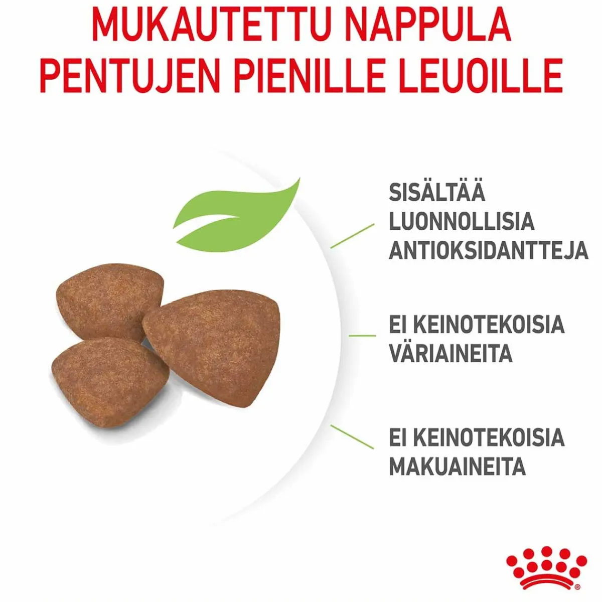 Royal Canin Penturuoka|Koiran Kuivaruoka*Mini Puppy