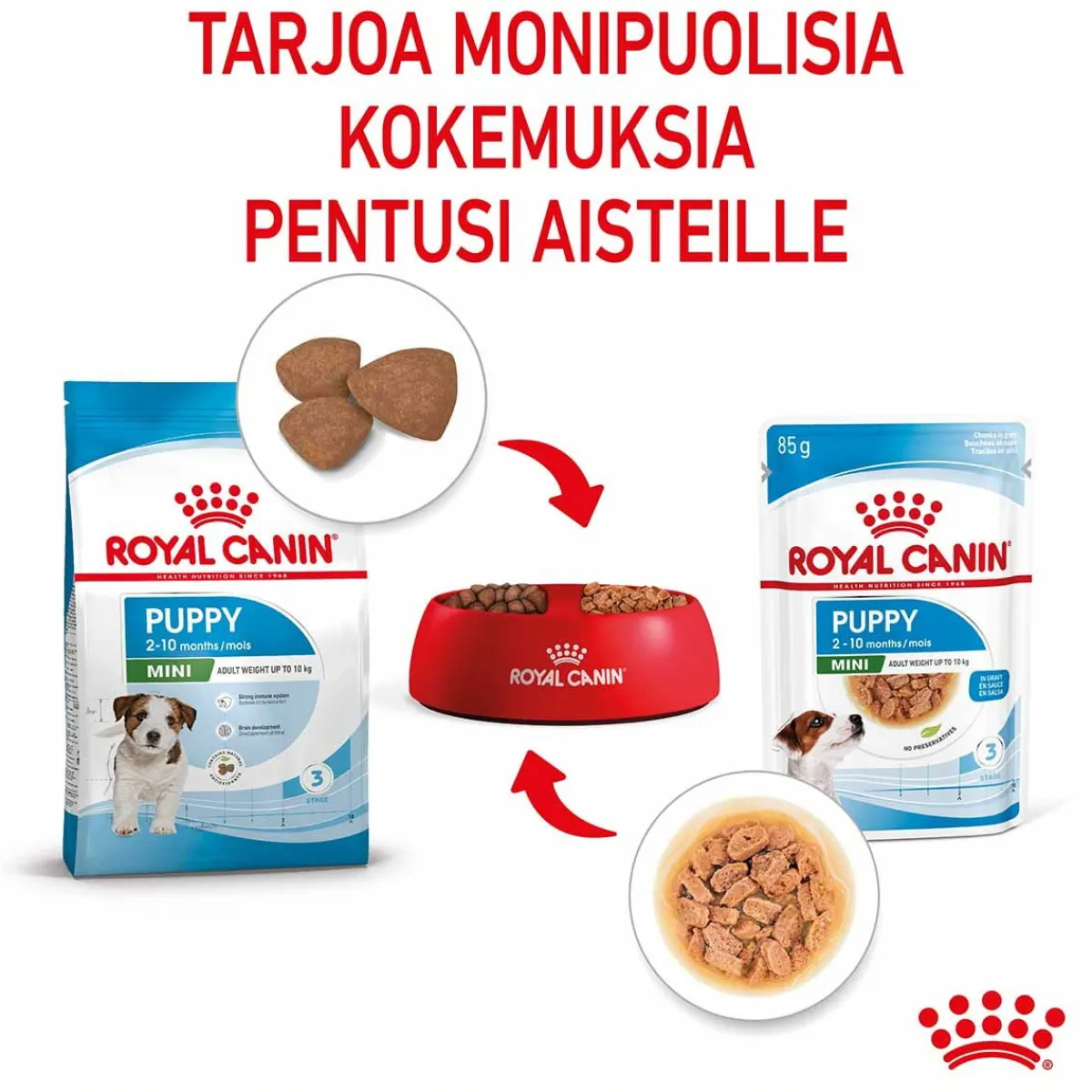 Royal Canin Penturuoka|Penturuoka*Mini Puppy Wet 12 x 85 g
