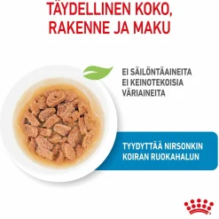 Royal Canin Penturuoka|Penturuoka*Mini Puppy Wet 12 x 85 g