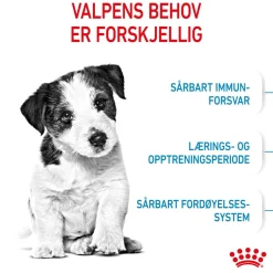 Royal Canin Koiran Kuivaruoka*Mini Puppy 2 x 8kg