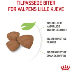 Royal Canin Koiran Kuivaruoka*Mini Puppy 2 x 8kg