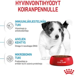 Royal Canin Koiran Kuivaruoka*Mini Puppy 2 x 8kg