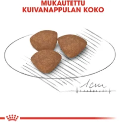 Royal Canin Koiran Kuivaruoka*Mini Puppy 2 x 8kg