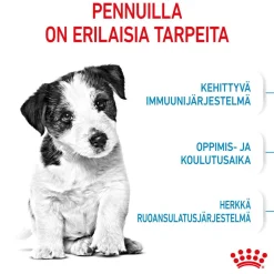 Royal Canin Koiran Kuivaruoka*Mini Puppy 2 x 8kg