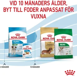 Royal Canin Koiran Kuivaruoka*Mini Puppy 2 x 8kg