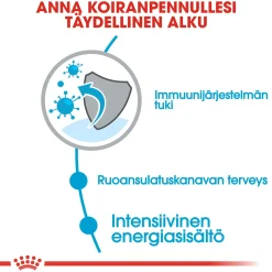 Royal Canin Koiran Kuivaruoka*Mini Puppy 2 x 8kg