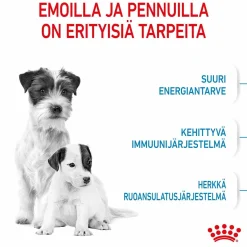 Royal Canin Penturuoka|Koiran Kuivaruoka*Mini Starter