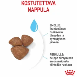 Royal Canin Penturuoka|Koiran Kuivaruoka*Mini Starter