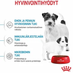 Royal Canin Penturuoka|Koiran Kuivaruoka*Mini Starter