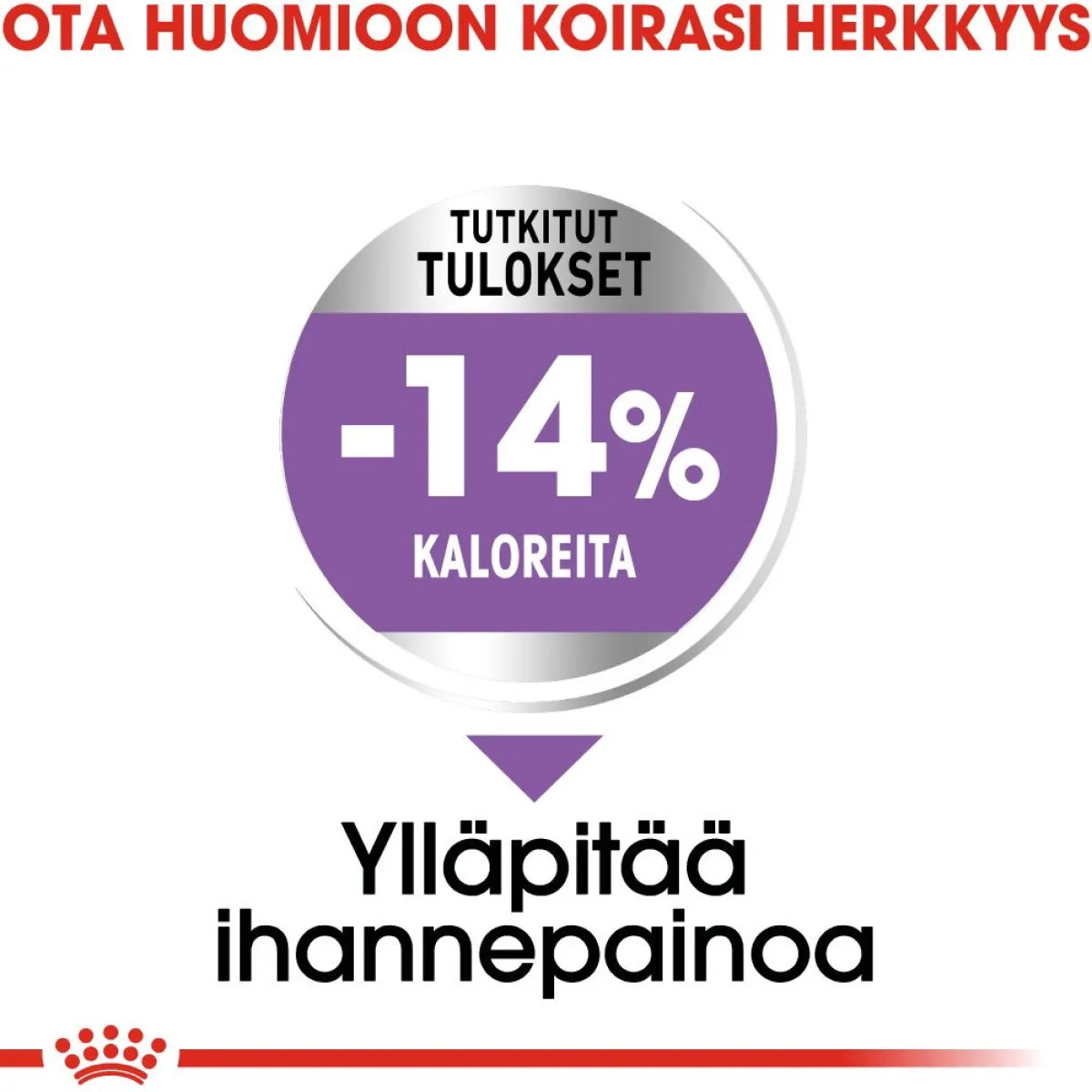 Royal Canin Koiranruoat Erityistapeisiin|Koiran Kuivaruoka*Mini Sterilised