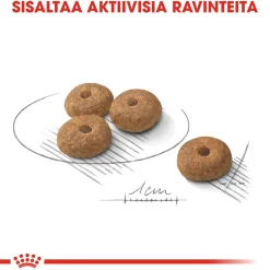 Royal Canin Koiranruoat Erityistapeisiin|Koiran Kuivaruoka*Mini Sterilised