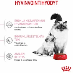 Royal Canin Kissanpennun Ruoka|Kissan Kuivaruoka*Mother & Babycat