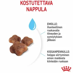 Royal Canin Kissanpennun Ruoka|Kissan Kuivaruoka*Mother & Babycat