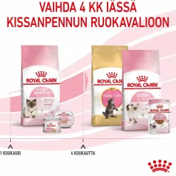 Royal Canin Kissanpennun Ruoka|Kissan Kuivaruoka*Mother & Babycat