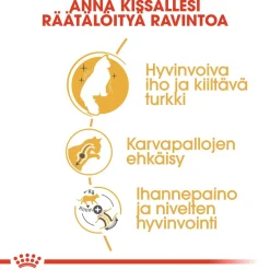 Royal Canin Tarjoukset Kissoille|Kissan Kuivaruoka*Norwegian Forest Cat