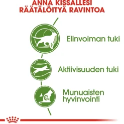 Royal Canin Seniorikissan Ruoka|Kissan Kuivaruoka*Outdoor 7+