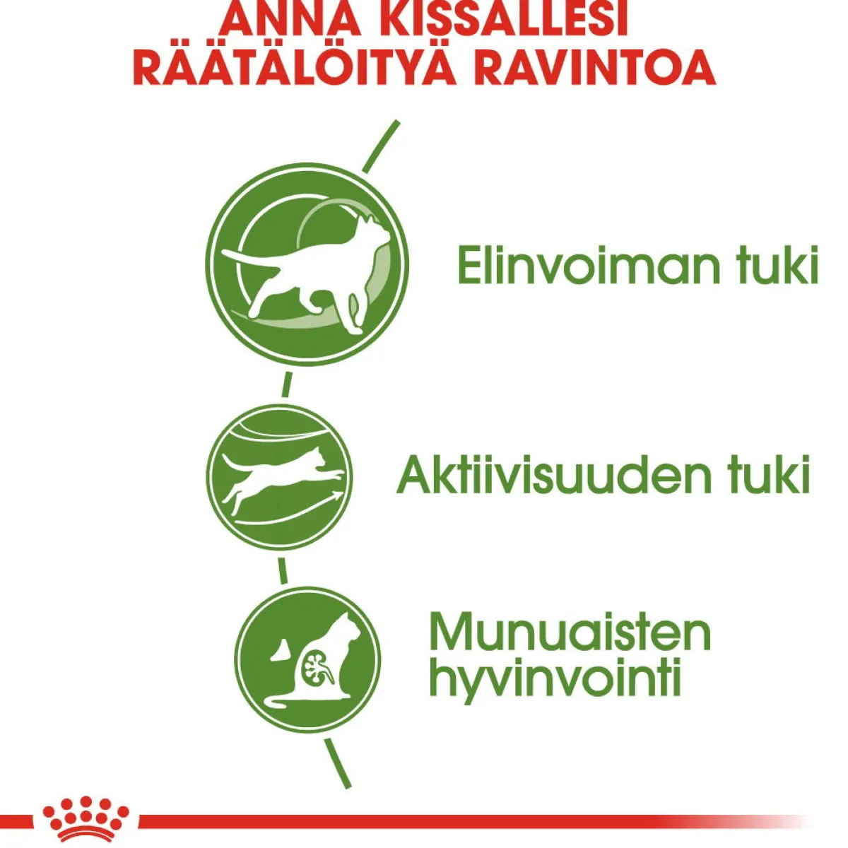 Royal Canin Seniorikissan Ruoka|Kissan Kuivaruoka*Outdoor 7+