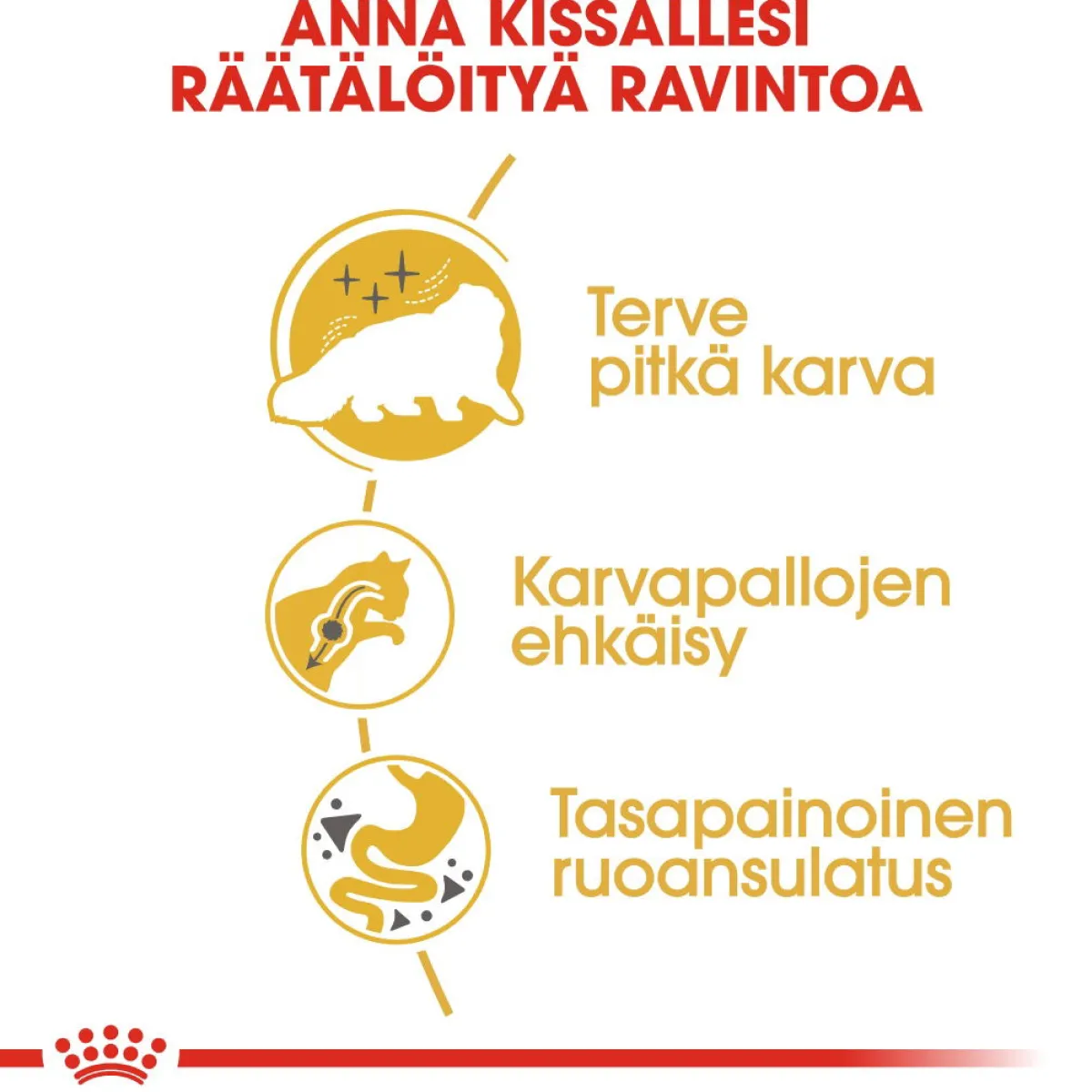Royal Canin Tarjoukset Kissoille|Kissan Kuivaruoka*Persian Adult