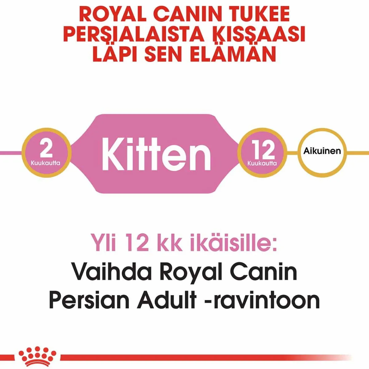 Royal Canin Kissanpennun Ruoka|Tarjoukset Kissoille*Persian Kitten