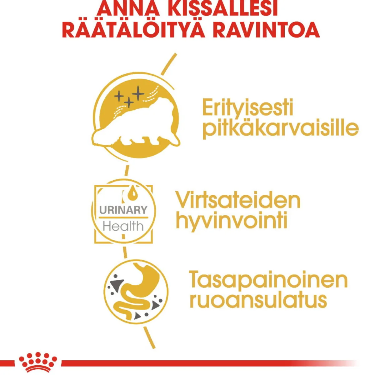 Royal Canin Kissan Märkäruoka*Persian Loaf 85g, 48-pack