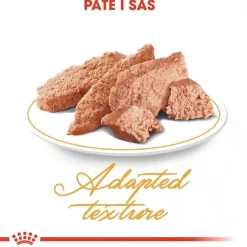 Royal Canin Kissan Märkäruoka*Persian Loaf 85g, 48-pack