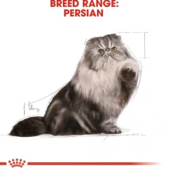 Royal Canin Kissan Märkäruoka*Persian Loaf 85g, 48-pack