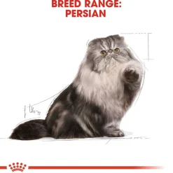 Royal Canin Kissan Märkäruoka*Persian Loaf 85g, 48-pack