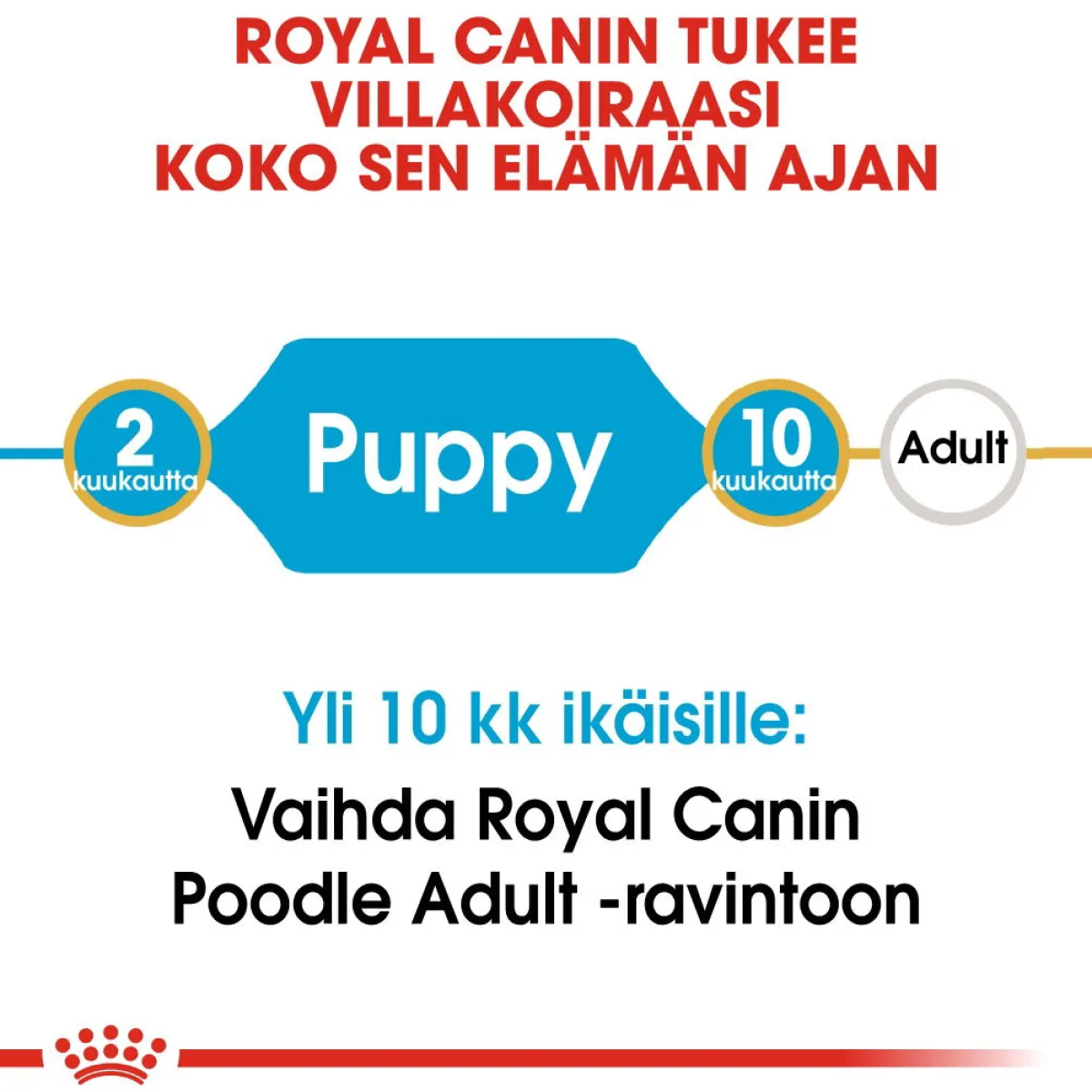Royal Canin Penturuoka|Koiran Kuivaruoka*Poodle Puppy 3 kg