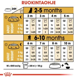 Royal Canin Penturuoka|Koiran Kuivaruoka*Poodle Puppy 3 kg