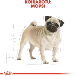 Royal Canin Koiran Kuivaruoka|Tarjoukset Koirille*Pug Adult