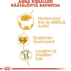 Royal Canin Tarjoukset Kissoille|Kissan Kuivaruoka*Ragdoll