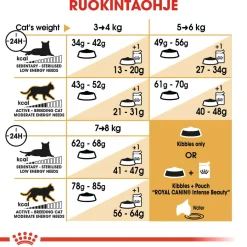 Royal Canin Tarjoukset Kissoille|Kissan Kuivaruoka*Ragdoll