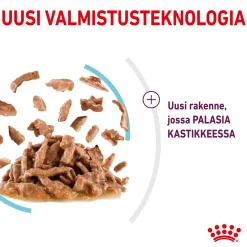 Royal Canin Kissan Märkäruoka*Sensory Feel Gravy, 12x85g