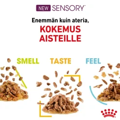 Royal Canin Kissan Märkäruoka*Sensory Feel Gravy 85g, 48-pack
