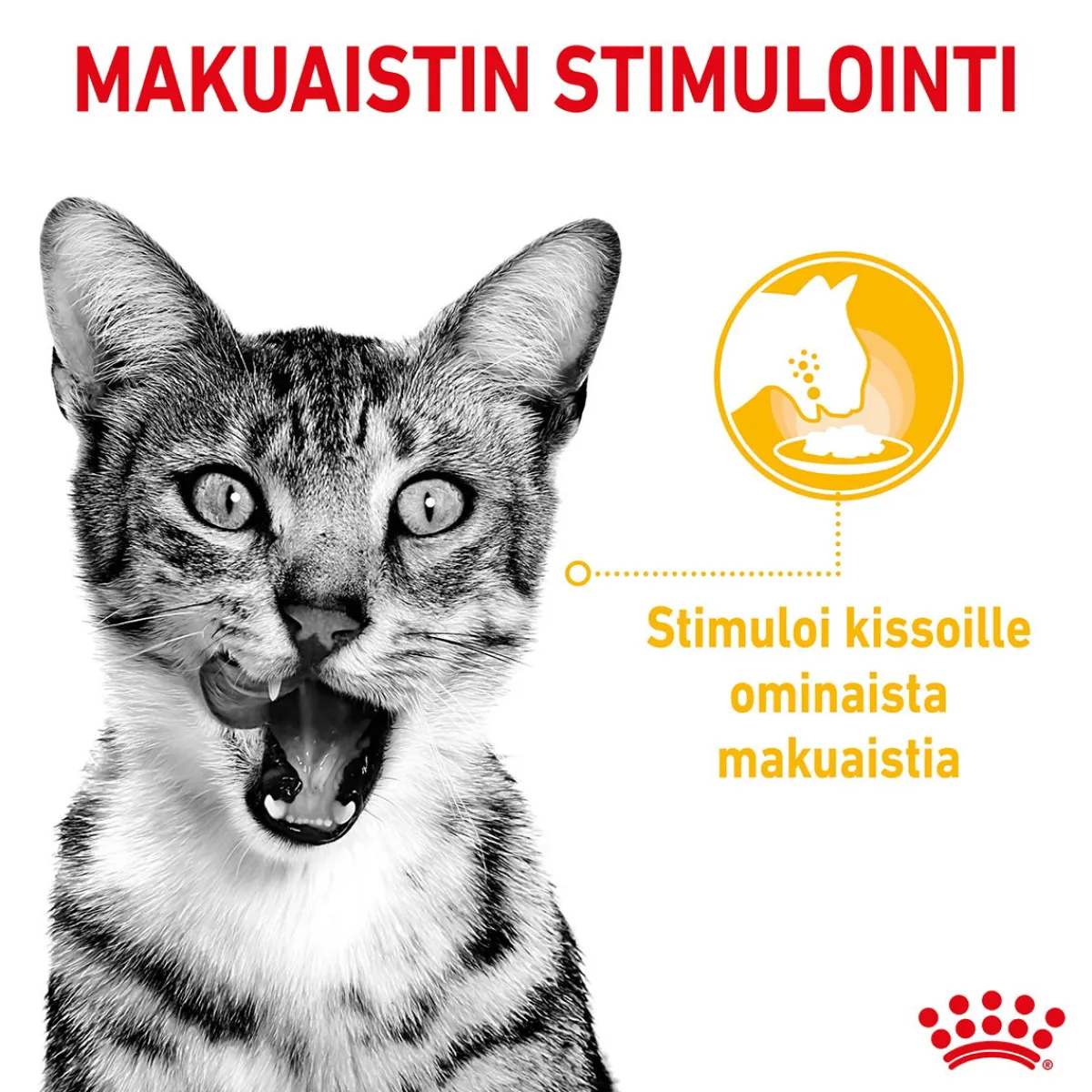 Royal Canin Kissan Märkäruoka*Sensory Mixed box Gravy 85g, 48-pack