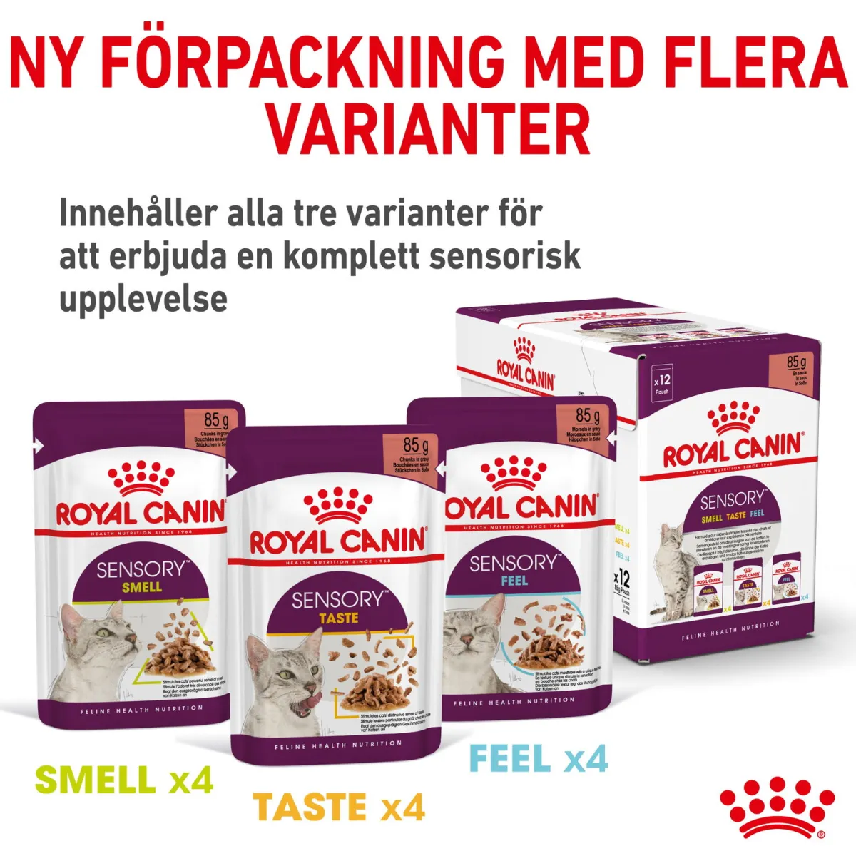 Royal Canin Kissan Märkäruoka*Sensory Mixed box Gravy 85g, 48-pack