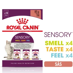 Royal Canin Kissan Märkäruoka*Sensory Mixed box Gravy 85g, 48-pack