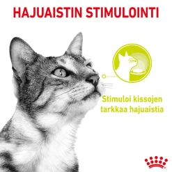 Royal Canin Kissan Märkäruoka*Sensory Mixed box Gravy 85g, 48-pack